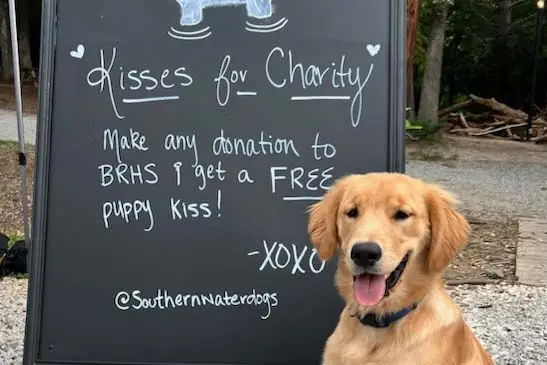 Dog kisses for charity