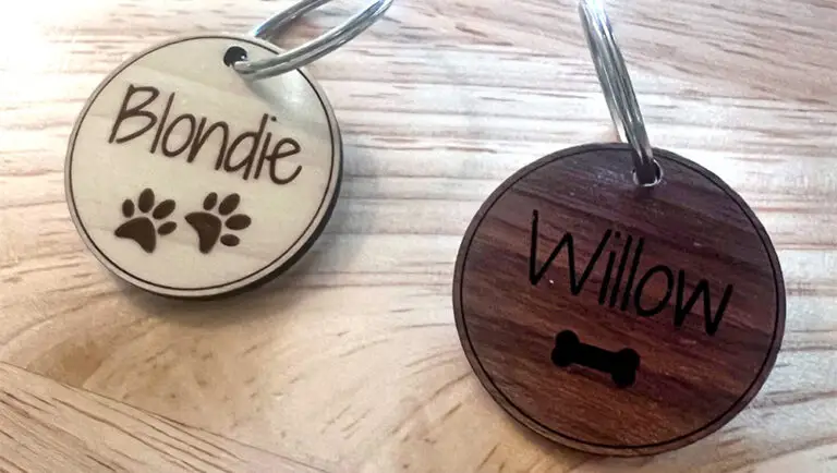 custom engraved pet id tags